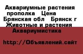 Аквариумные растения прополка › Цена ­ 300 - Брянская обл., Брянск г. Животные и растения » Аквариумистика   